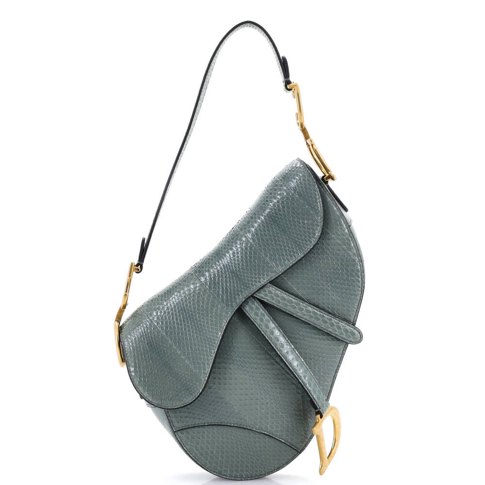 Christian Dior Medium Saddle Handbag Python